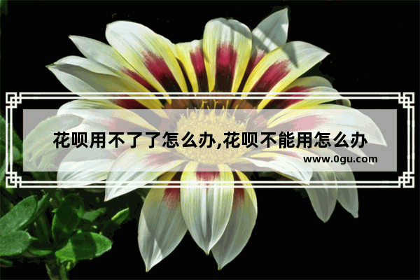 花呗用不了了怎么办,花呗不能用怎么办