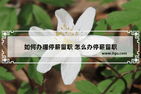 如何办理停薪留职 怎么办停薪留职