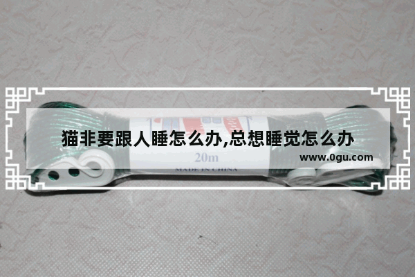 猫非要跟人睡怎么办,总想睡觉怎么办