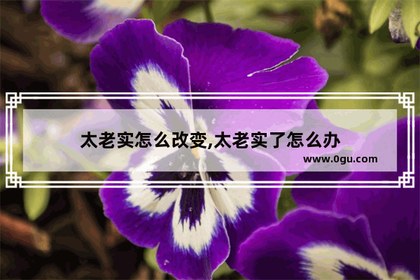 太老实怎么改变,太老实了怎么办