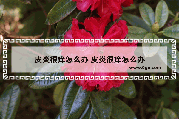 皮炎很痒怎么办 皮炎很痒怎么办