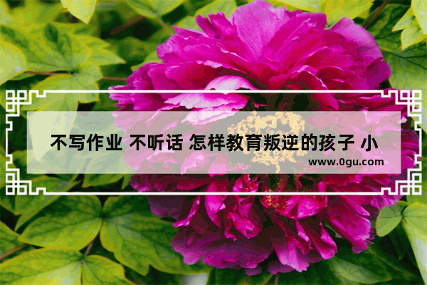 不写作业 不听话 怎样教育叛逆的孩子 小孩子叛逆怎么办