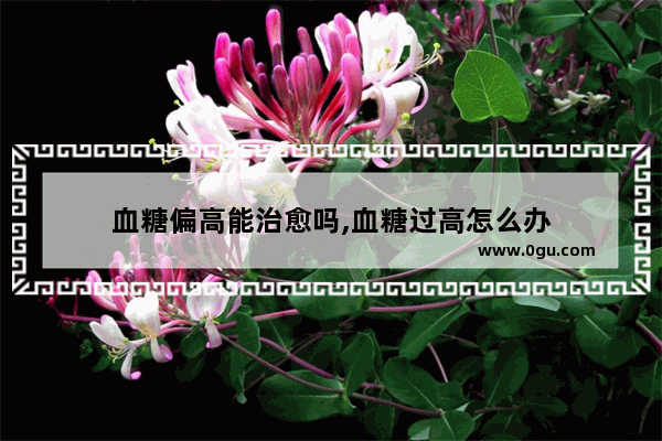 血糖偏高能治愈吗,血糖过高怎么办