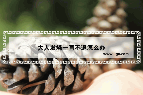大人发烧一直不退怎么办