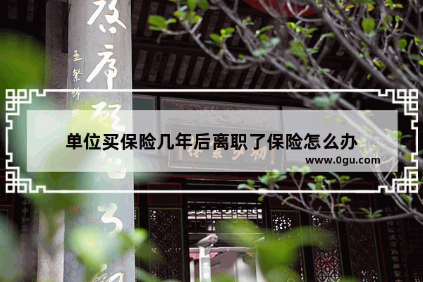 单位买保险几年后离职了保险怎么办