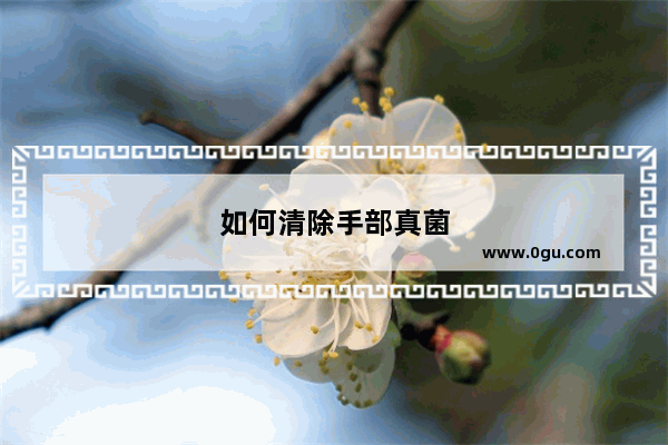 如何清除手部真菌