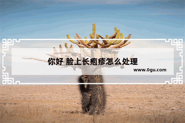 你好 脸上长疱疹怎么处理