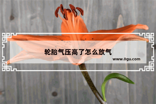 轮胎气压高了怎么放气