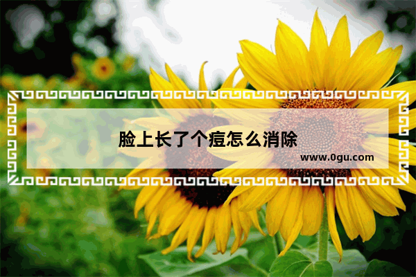 脸上长了个痘怎么消除