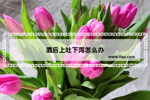 酒后上吐下泻怎么办