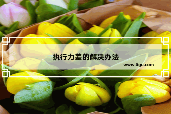 执行力差的解决办法