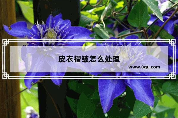 皮衣褶皱怎么处理