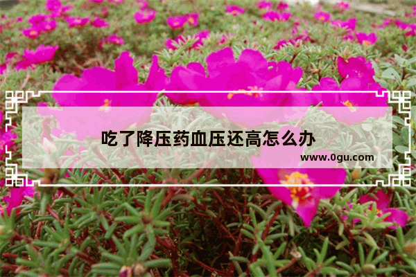 吃了降压药血压还高怎么办