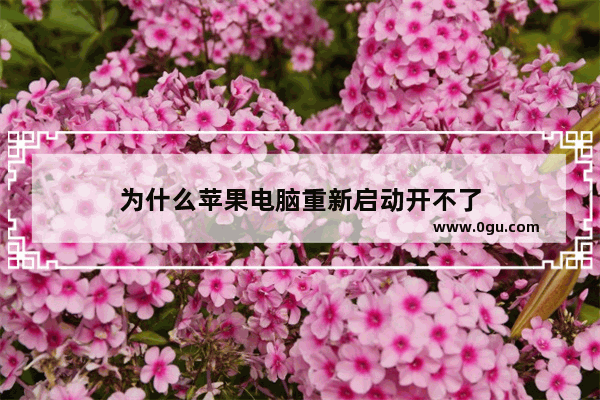 为什么苹果电脑重新启动开不了
