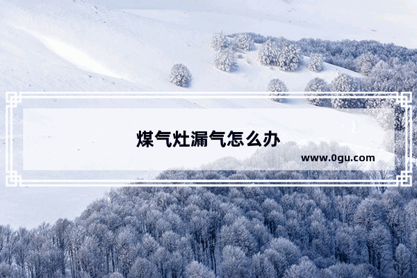 煤气灶漏气怎么办