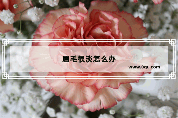 眉毛很淡怎么办