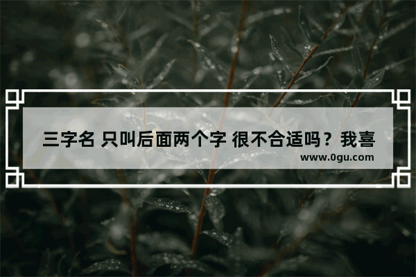 三字名 只叫后面两个字 很不合适吗？我喜欢一个学姐 但是不想叫她学姐 问她能不能叫她名字 她说不太