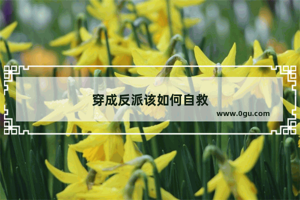 穿成反派该如何自救