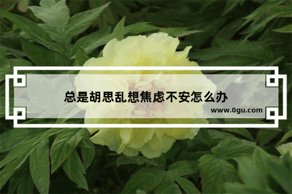 总是胡思乱想焦虑不安怎么办