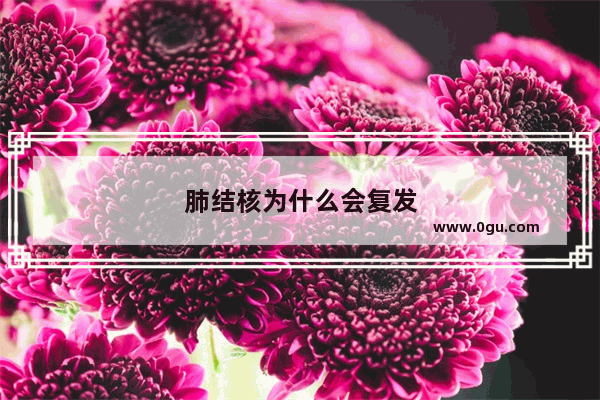 肺结核为什么会复发