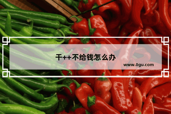 干++不给钱怎么办