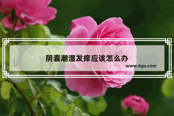 阴囊潮湿发痒应该怎么办