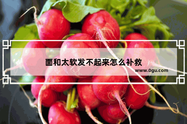 面和太软发不起来怎么补救