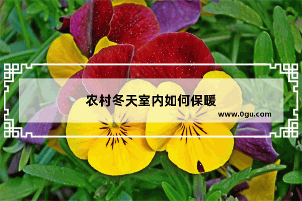 农村冬天室内如何保暖