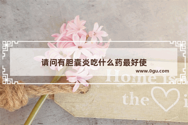 请问有胆囊炎吃什么药最好使