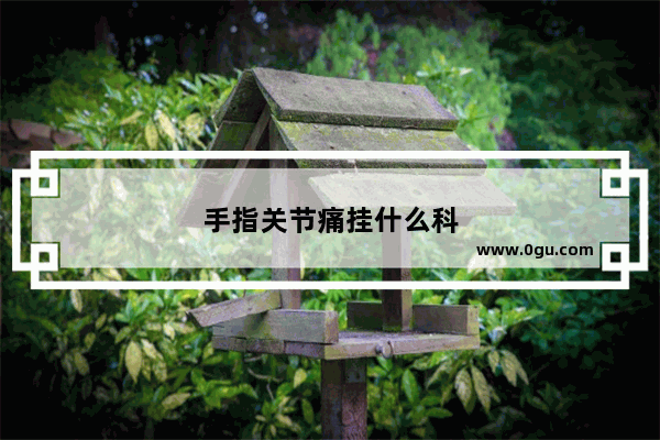 手指关节痛挂什么科