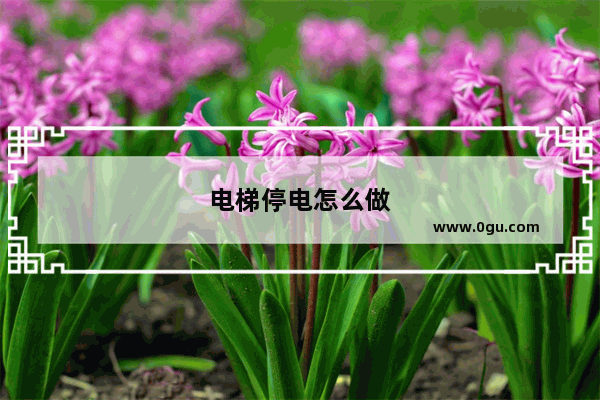 电梯停电怎么做