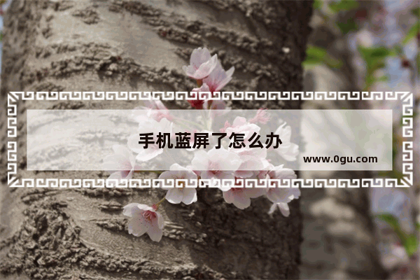 手机蓝屏了怎么办