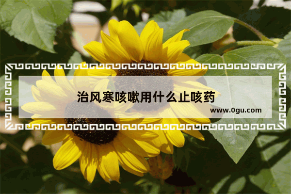治风寒咳嗽用什么止咳药