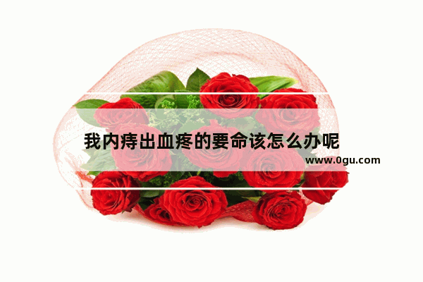 我内痔出血疼的要命该怎么办呢