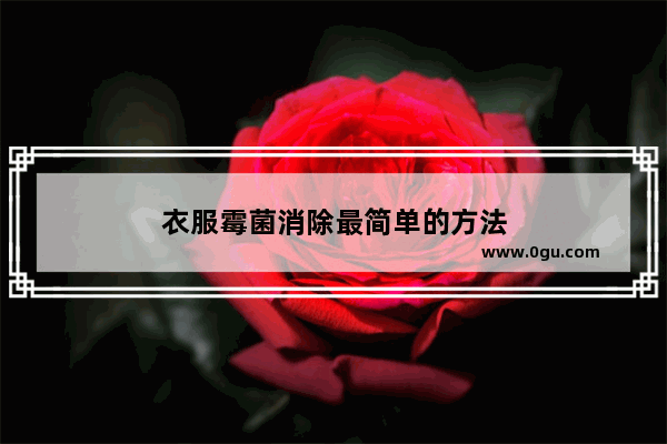 衣服霉菌消除最简单的方法
