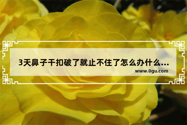 3天鼻子干扣破了就止不住了怎么办什么原因引起
