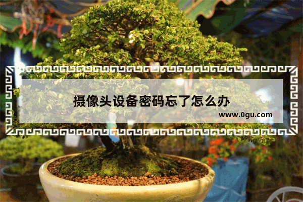 摄像头设备密码忘了怎么办
