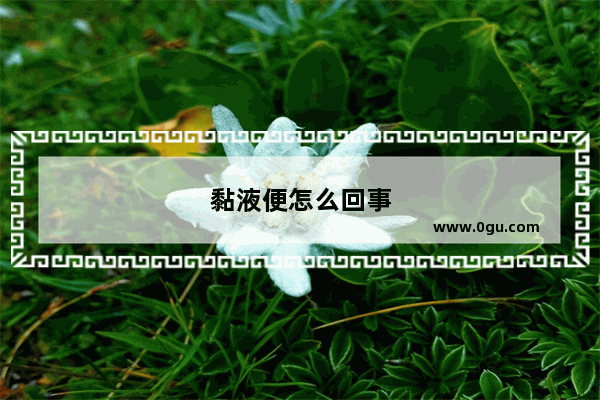 黏液便怎么回事