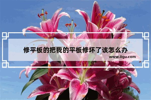修平板的把我的平板修坏了该怎么办