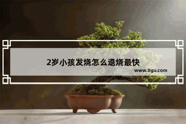 2岁小孩发烧怎么退烧最快