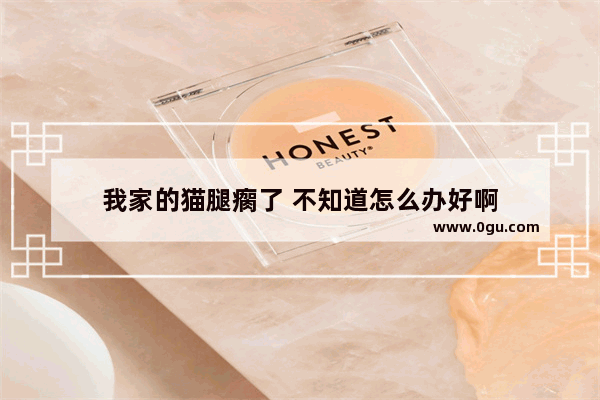 我家的猫腿瘸了 不知道怎么办好啊