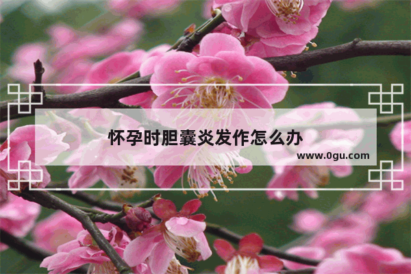 怀孕时胆囊炎发作怎么办
