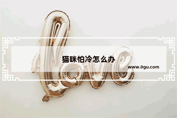 猫咪怕冷怎么办