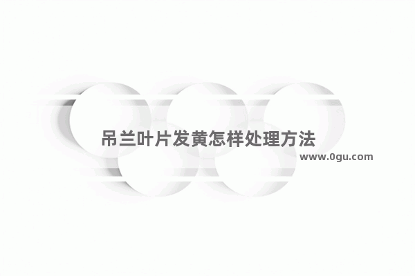 吊兰叶片发黄怎样处理方法