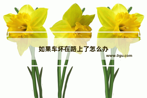 如果车坏在路上了怎么办