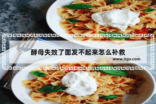 酵母失效了面发不起来怎么补救