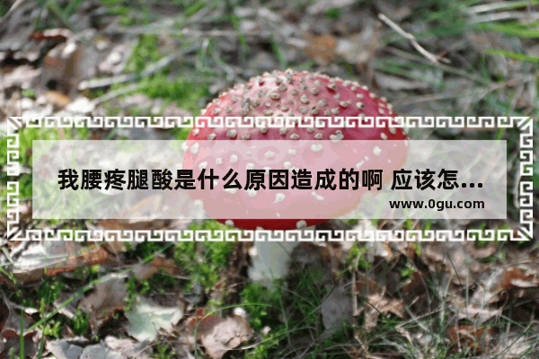我腰疼腿酸是什么原因造成的啊 应该怎么办啊
