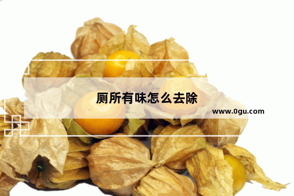 厕所有味怎么去除