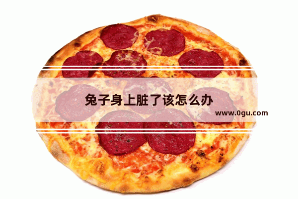 兔子身上脏了该怎么办