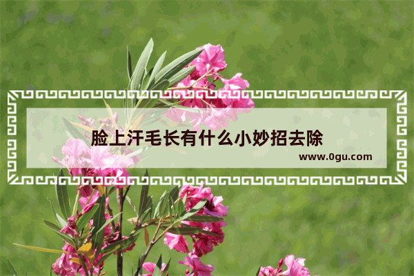 脸上汗毛长有什么小妙招去除